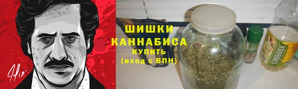 стафф Карпинск