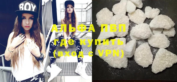 стафф Карпинск