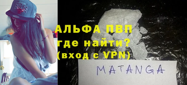 стафф Карпинск