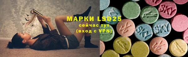 стафф Карпинск